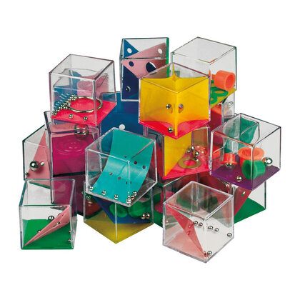 Puzzle Game Albany