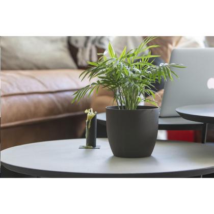 Coffee Flowerpot