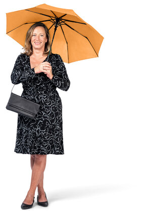 FARE AC mini Umbrella