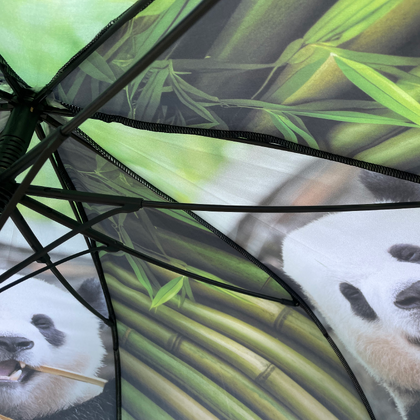 Bamboo Auto Golf Eco