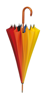 Rainbow Walker Umbrella