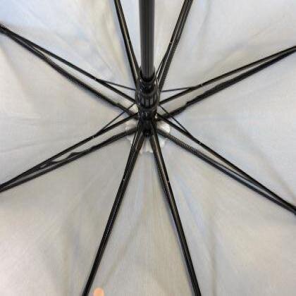Executive Walker Eco Umbrella