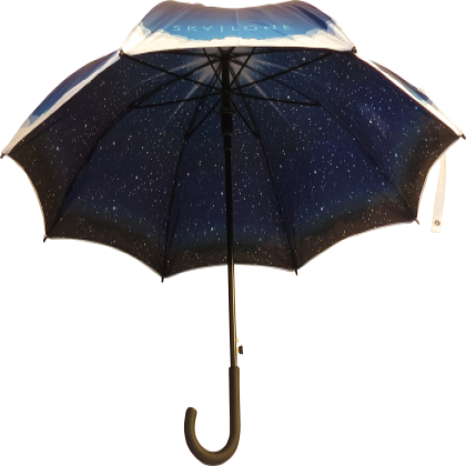 Executive Walker Double Canopy Umbrella