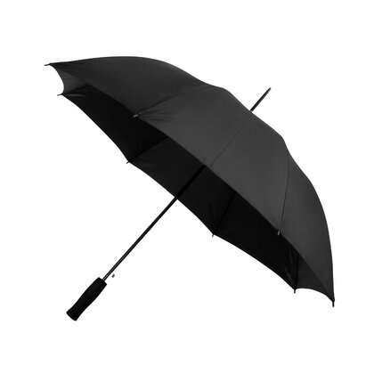 Budget Walker Umbrella.