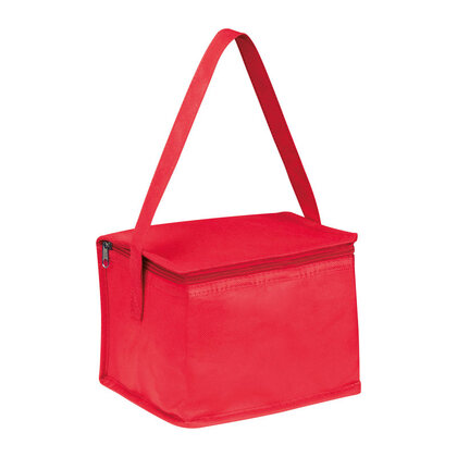 Non-Woven Cooler Bag Nieby