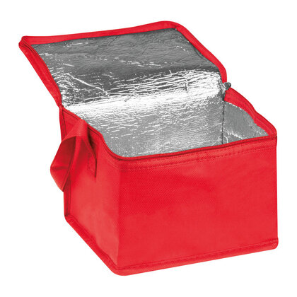 Non-Woven Cooler Bag Nieby