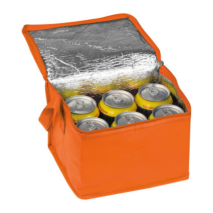 Non-Woven Cooler Bag Nieby