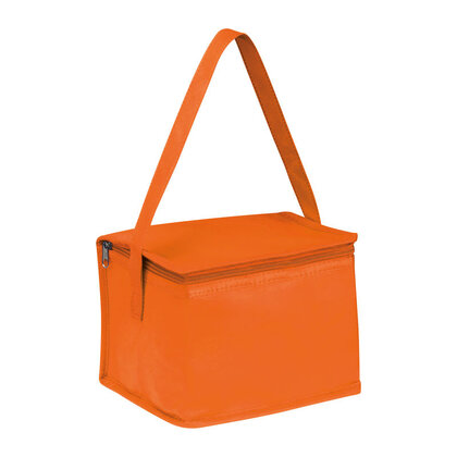 Non-Woven Cooler Bag Nieby