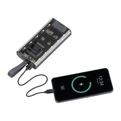 Power Bank Darwin 10,000 mAh