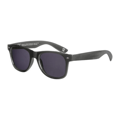 RPET Sunglasses Illinois