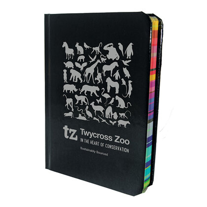 A6 RAINBOW EDGE NOTEPAD E165201