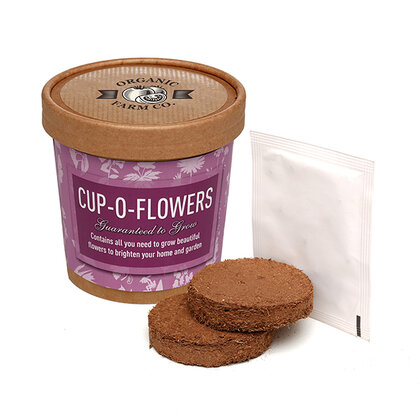 NATURAL CUP-O-FLOWERS E1612305