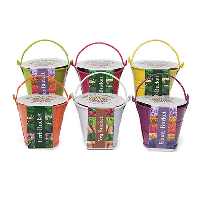COLOURED MINI BUCKET GROW KIT E1612306