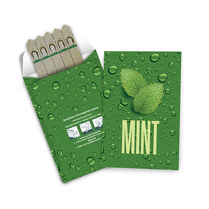 Medium Seed Packet Envelopes - Gloss E1612202