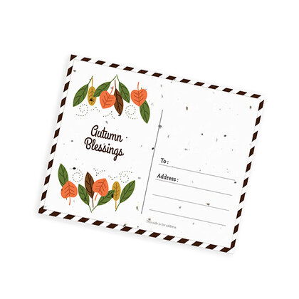 Seeded Paper Postcards A5 (1PP) E1612303