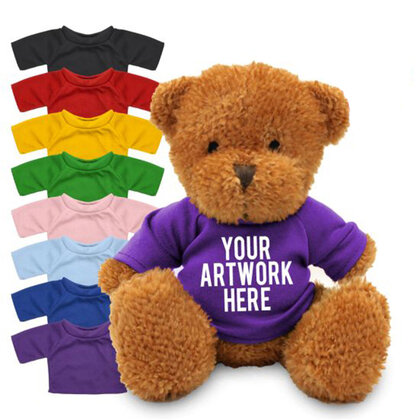 18cm James Bear with Printed Coloured T-shirt E1613001