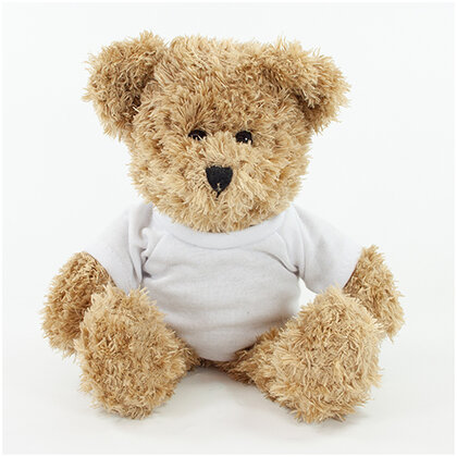 Scruffy Bear with a White T-Shirt E1612905