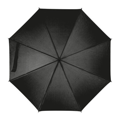 Automatic Umbrella Limoges