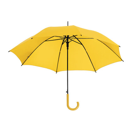 Automatic Umbrella Limoges