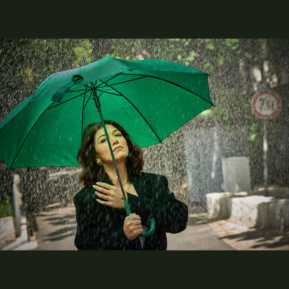 Automatic Umbrella Limoges