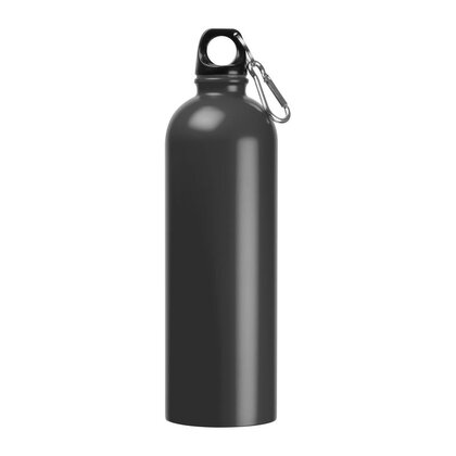 Stainless Steel Drinking Bottle Ostrov 750 ml