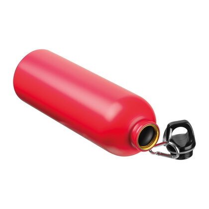 Stainless Steel Drinking Bottle Ostrov 750 ml