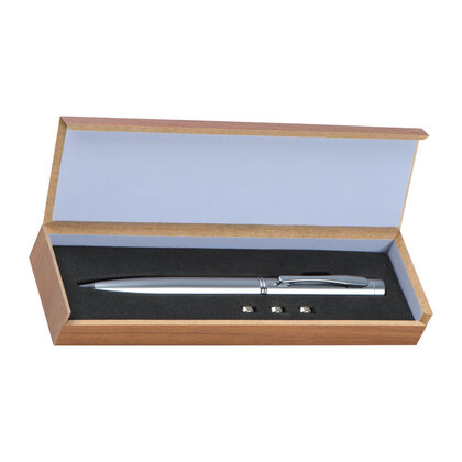 Metal Laser Pointer Detroit