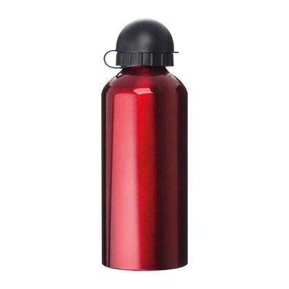 Metal Drinking Bottle Charlotte 600 ml