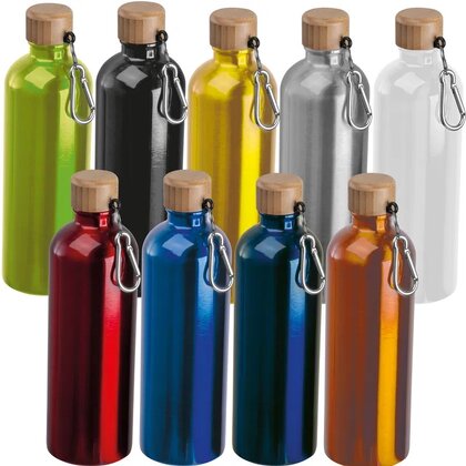 Stainless steel drinking bottle with carabiner, 750ml RUTH