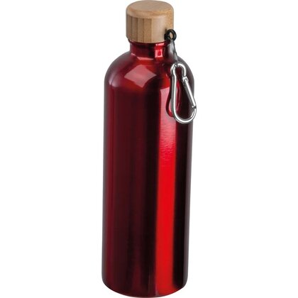 Stainless steel drinking bottle with carabiner, 750ml RUTH