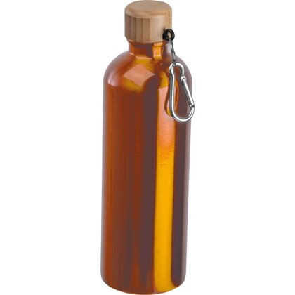 Stainless steel drinking bottle with carabiner, 750ml RUTH
