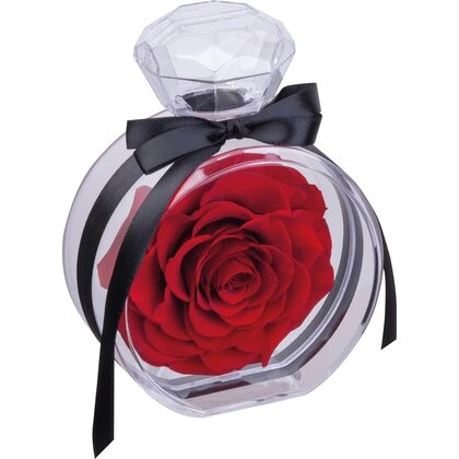Preserved rose MARCELLA