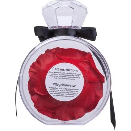 Preserved rose MARCELLA