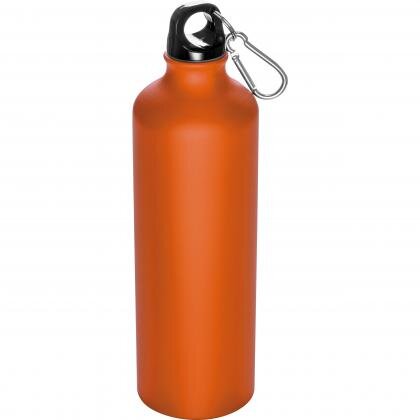 800 ml drinking bottle with snap hook THEODORE