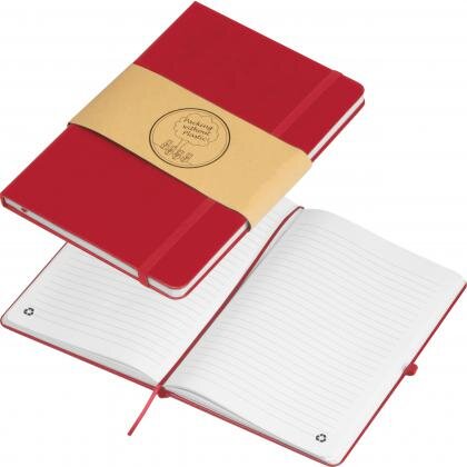 RPU notebook CLEO