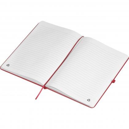 RPU notebook CLEO