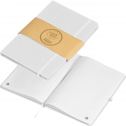 RPU notebook CLEO