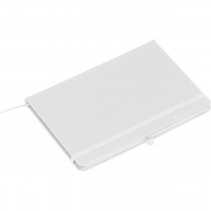 RPU notebook CLEO