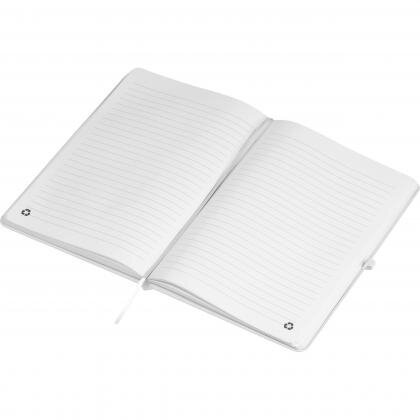 RPU notebook CLEO