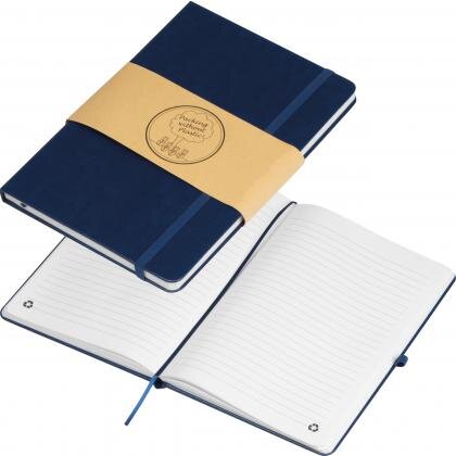 RPU notebook CLEO