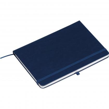 RPU notebook CLEO
