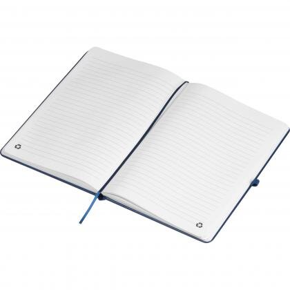 RPU notebook CLEO