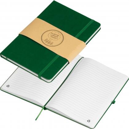 RPU notebook CLEO