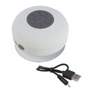 Bluetooth Speaker for the Bathroom