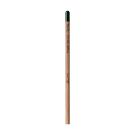 Sproutworld Unsharpened Pencil