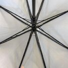 Executive Walker Eco Umbrella