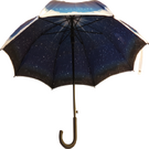 Executive Walker Double Canopy Umbrella