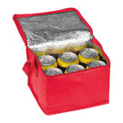 Non-Woven Cooler Bag Nieby