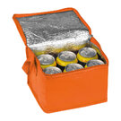 Non-Woven Cooler Bag Nieby