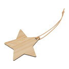 Bamboo Star Pendant Foggia